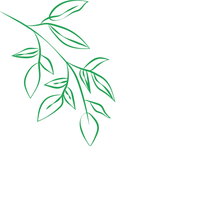 bd (1)